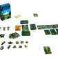 Weird City Games: Canopy, Card Game, Fast and Fun Gameplay, Features 25 Unique Species of Rainforest Animals and Plants, Solo or Multiplayer Option