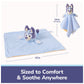 GUND Bluey Bluey 13-Inch Plush Lovey with Stuffed Animal, Ages 0+