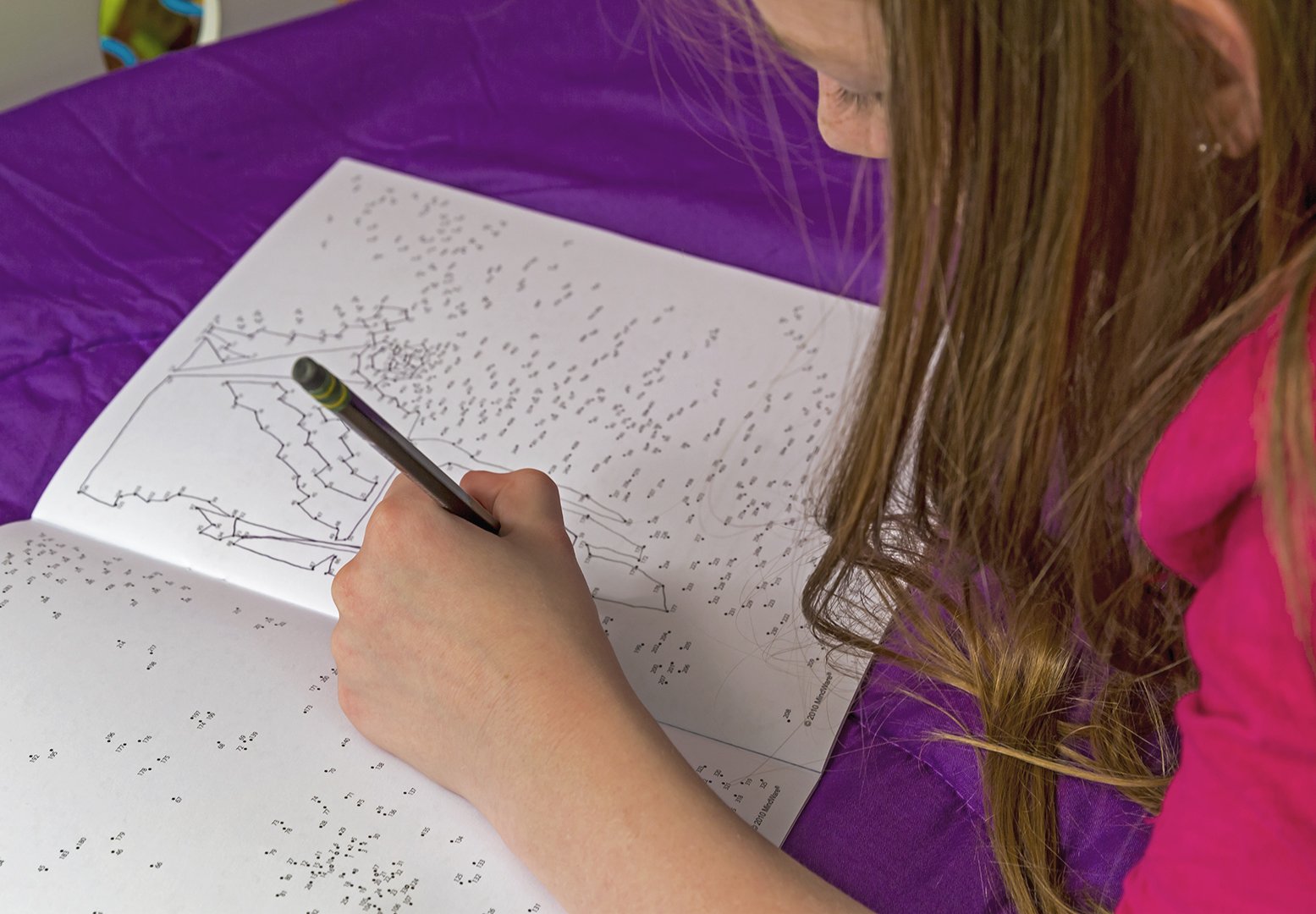 Extreme Dot to Dot Around The USA Puzzle