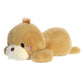 Aurora Too Cute 9.5" Wully Walrus Playful Stuffed Animal