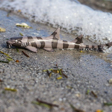 Safari Ltd. Bamboo Shark Figurine - Realistic 5.25" Sea Life Figure - Educational Toy for Boys, Girls and Kids Ages 3+