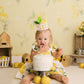 LINLULU Lemon 1st Birthday Crown - Lemon Birthday Decorations, Light Pink And Lemon Yellow Birthday Hat, Birthday Tiara, Cake Smash Props
