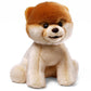 GUND Boo, The World’s Cutest Dog Plush, Realistic Pomeranian Stuffed Animal for Ages 1 and Up, 9”