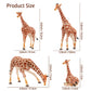 Toymany 4PCS Realistic Giraffe Figurines with Giraffe Cub, 2-6" Plastic Jungle Animals Figures Family Playset Includes Baby, Educational Toy Cake