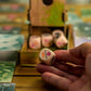 Stonemaier Games: Wingspan Oceania Expansion by Elizabeth Hargrave