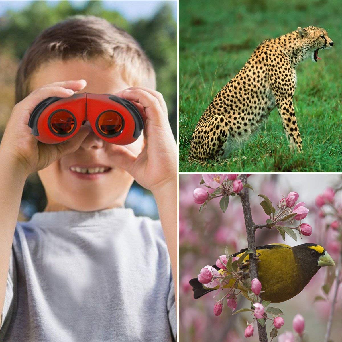 Best Gifts for Teen Girl, Happy Gift Compact Watreproof & Shock Proof Binocular Binocular for Kids Toys for 3-12 Year Old Girls,Boys to Watching