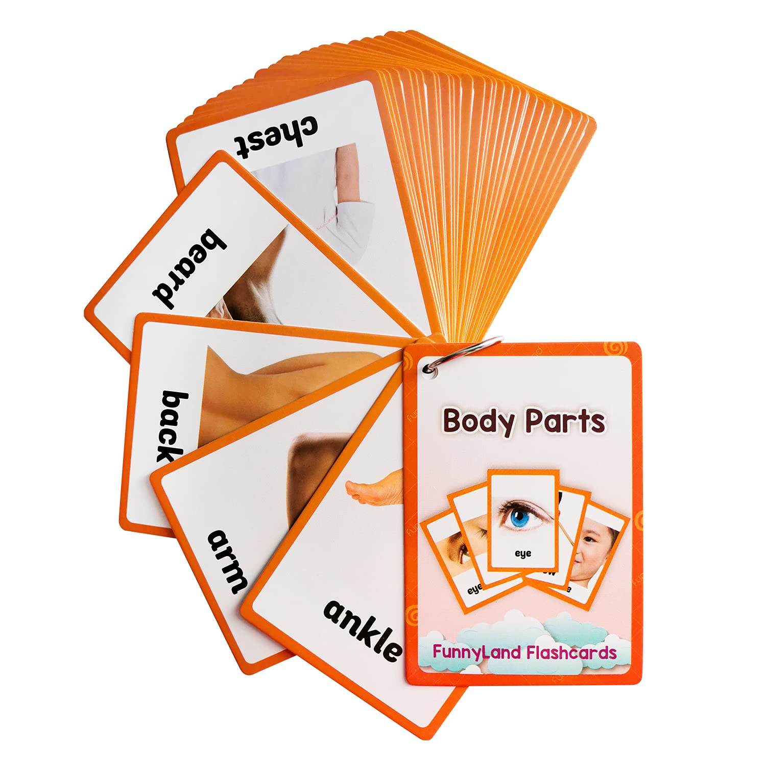 Lilias Body Parts Flash Cards, Toddler & Preschool Learning Toys, Kindergarten Learning Supplies, 4.3 x 3.14 Inch, 34 Cards