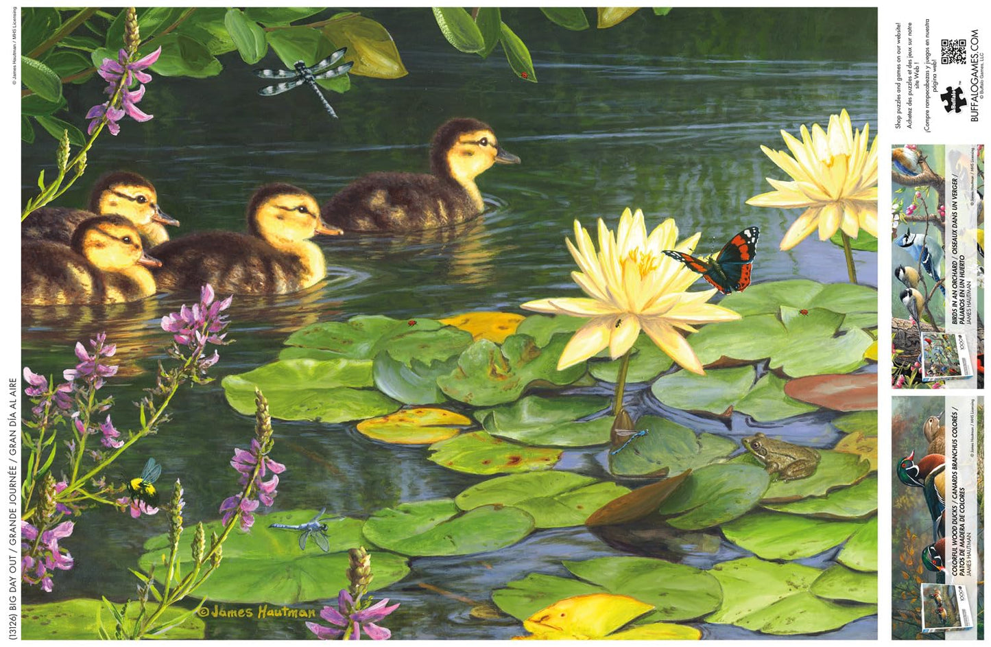 Buffalo Games - Big Day Out - 1000 Piece Jigsaw Puzzle for Adults