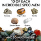 National Geographic Rock Collection with 50 Specimens to Share for Kids