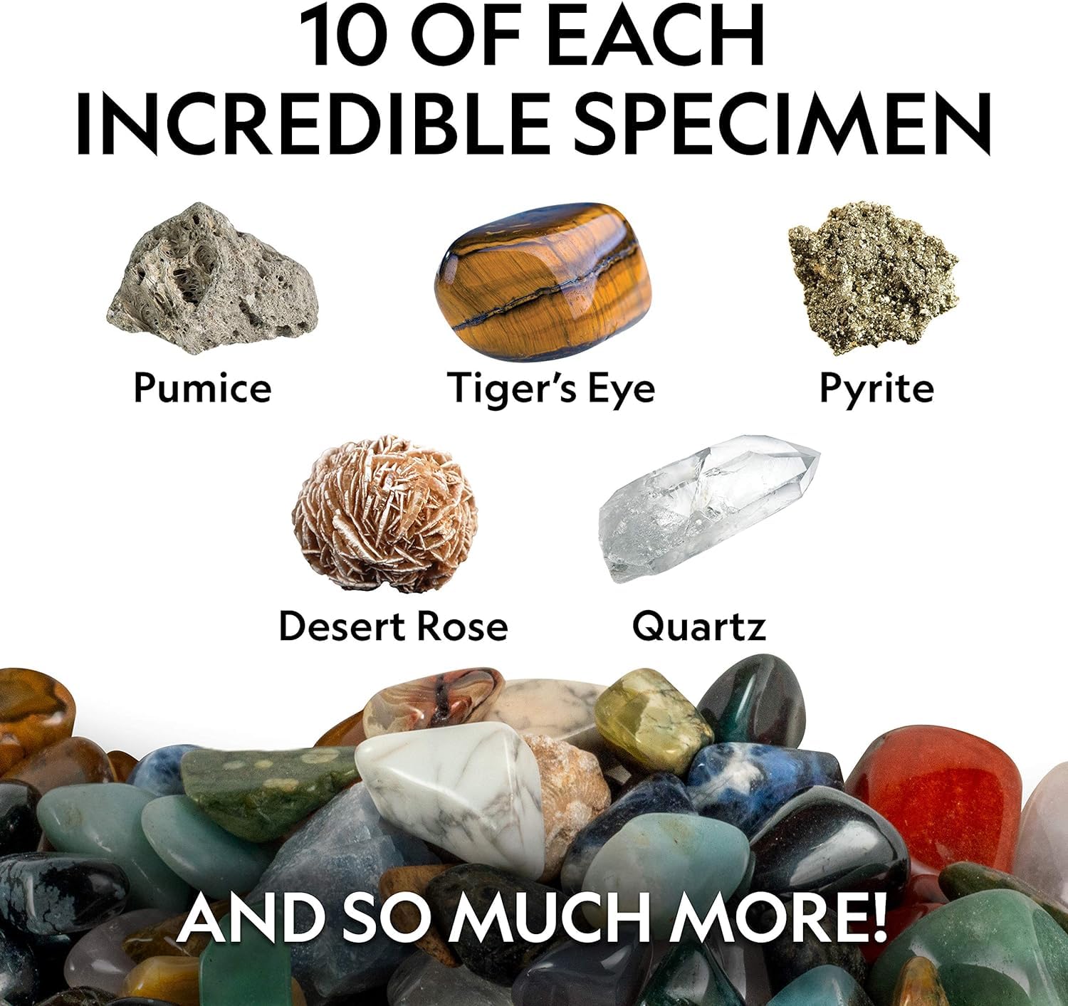 National Geographic Rock Collection with 50 Specimens to Share for Kids
