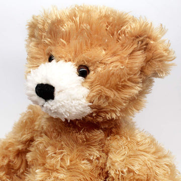 Plushland Adorable Brandon Bear for Kids 12 Inch - Cuddly - Cute Present and Great Gift for Birthday, Christmas, Holiday, Party Favors (New Beige)