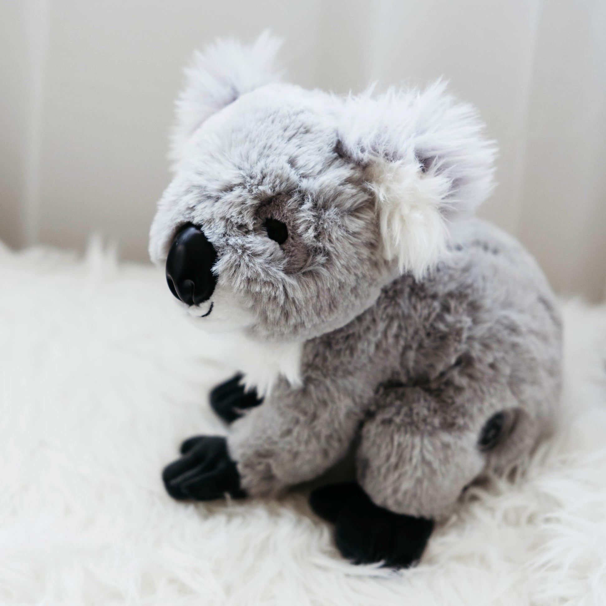 The Petting Zoo Koala Stuffed Animal, Gifts for Kids, Wild Onez Zoo Animals, Koala Plush Toy 12 inches