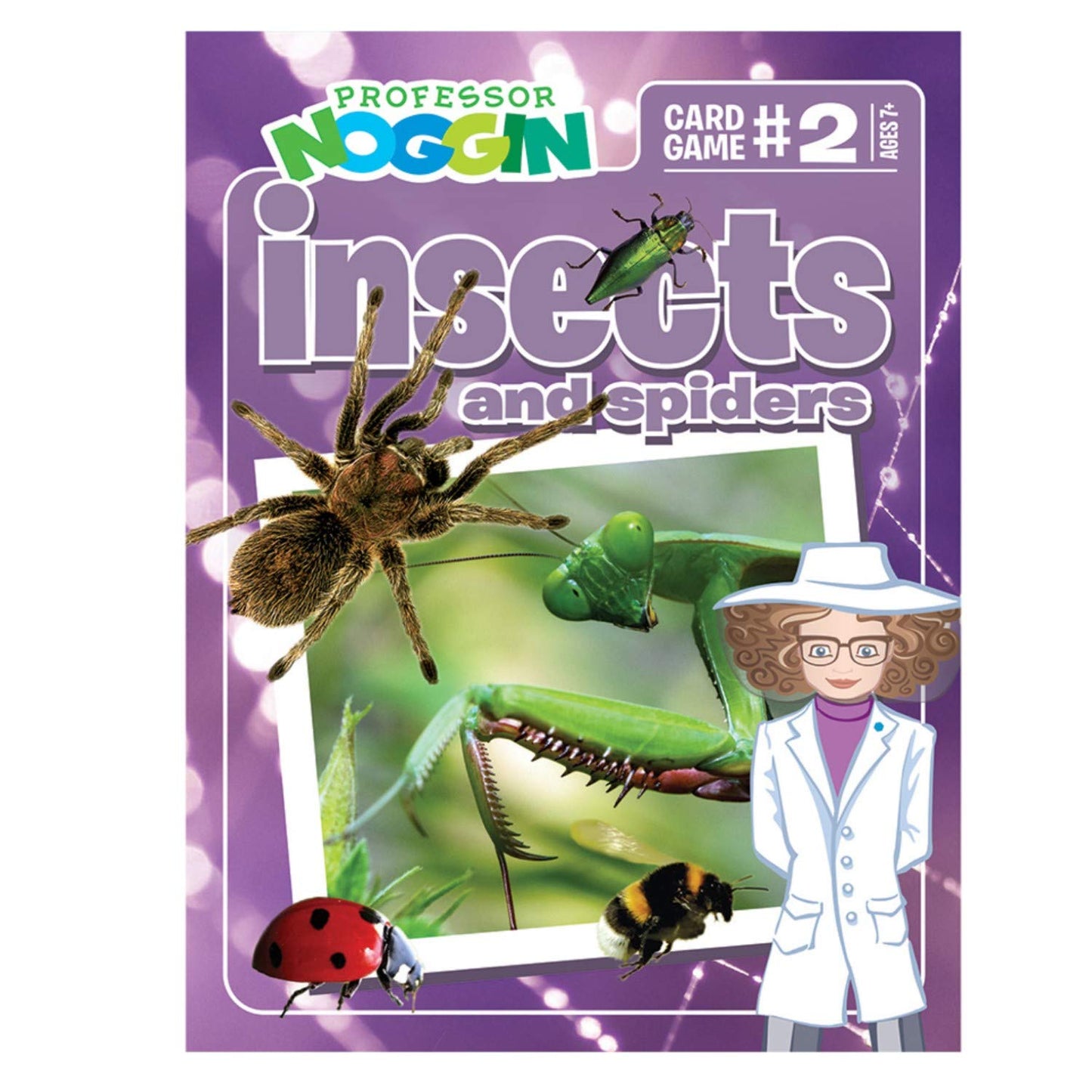 Outset Media Professor Noggin's Insects and Spiders Trivia Card Game - an Educational Trivia Based Card Game for Kids - Trivia, True or False,