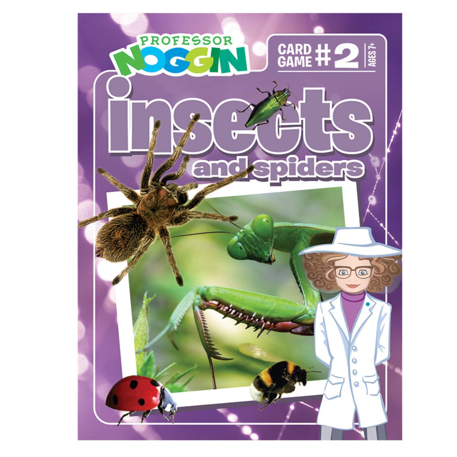 Outset Media Professor Noggin's Insects and Spiders Trivia Card Game - an Educational Trivia Based Card Game for Kids - Trivia, True or False,