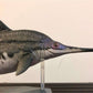 Lana Toys Ophthalmosaurus icenicus Figure Ichthyosaur Realistic Ichthyosauridae Dinosaur Model Decoration Gift