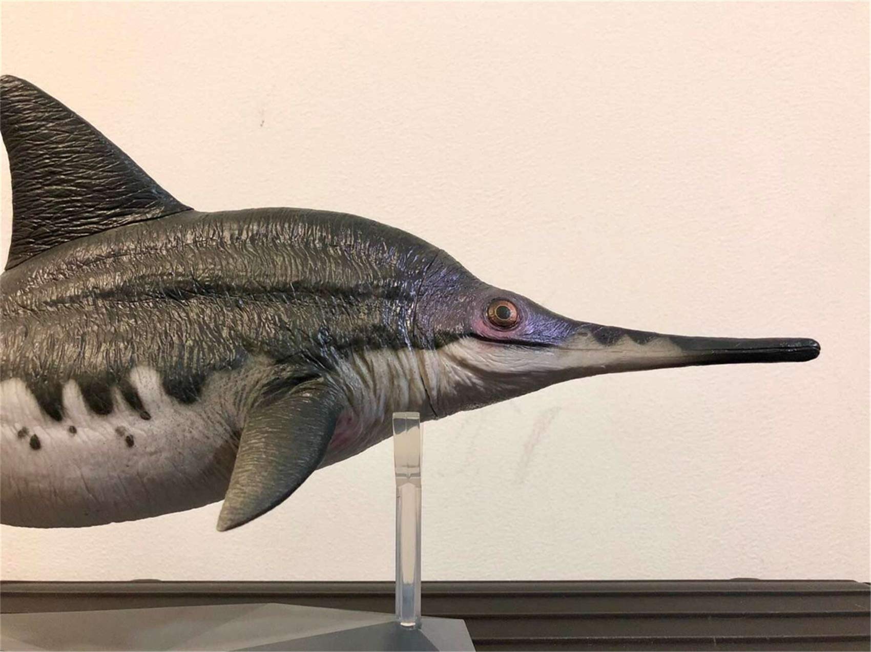 Lana Toys Ophthalmosaurus icenicus Figure Ichthyosaur Realistic Ichthyosauridae Dinosaur Model Decoration Gift
