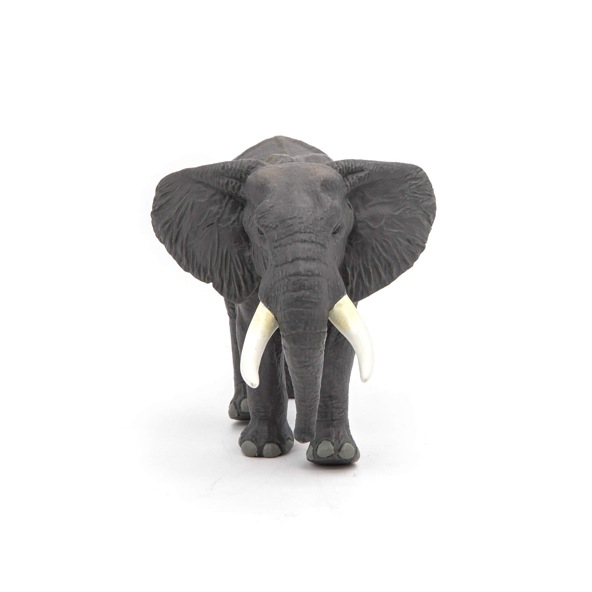 Papo - Realistic African Elephant Figure Toy for Kids - Ages 3+ - Wild Life Collection - Educational Play Wildlife Discovery - Gift Idea Toy for Girls