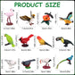 Warmshine 24 Pcs Realistic Bird Animals Figurines Mini Bird Figures Model Eagle Parrot Robin Owl Plastic Birds Figures Fairy Garden Accessories