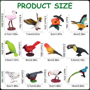Warmshine 24 Pcs Realistic Bird Animals Figurines Mini Bird Figures Model Eagle Parrot Robin Owl Plastic Birds Figures Fairy Garden Accessories