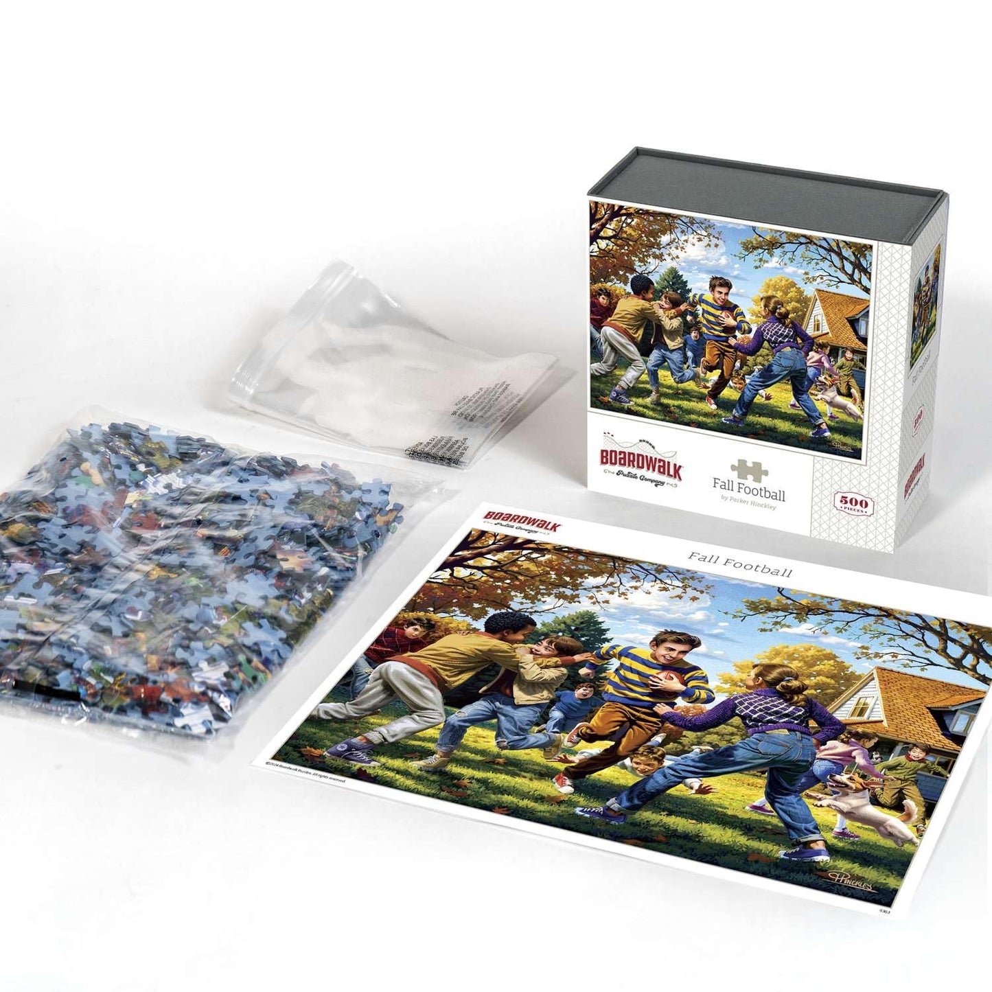 Boardwalk Fall Football 500 Piece Jigsaw Puzzle Backyard Sports Family Puzzles with Premium Box, Gift for Adults and Family 16"x20"