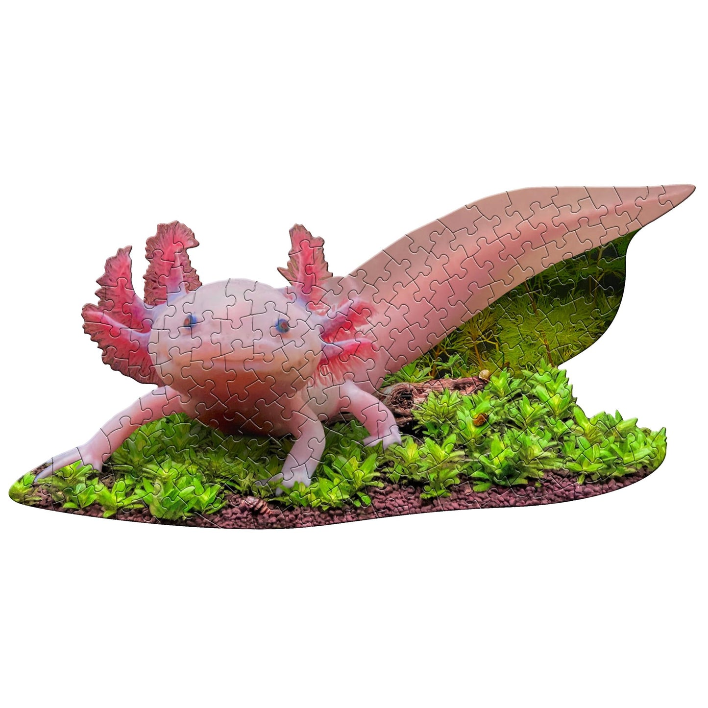 Madd CAPP: I Am Lil' Axolotl - 100 Piece Puzzle - Kids Animal-Shaped Jigsaw, 36" X 18" Finished Size, Poster Reference, Educational Fun Facts Booklet