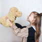 WEIGEDU Poodle Puppy Goldendoodle Stuffed Animal, Golden, 11.8 inch