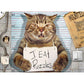 Feline Felon