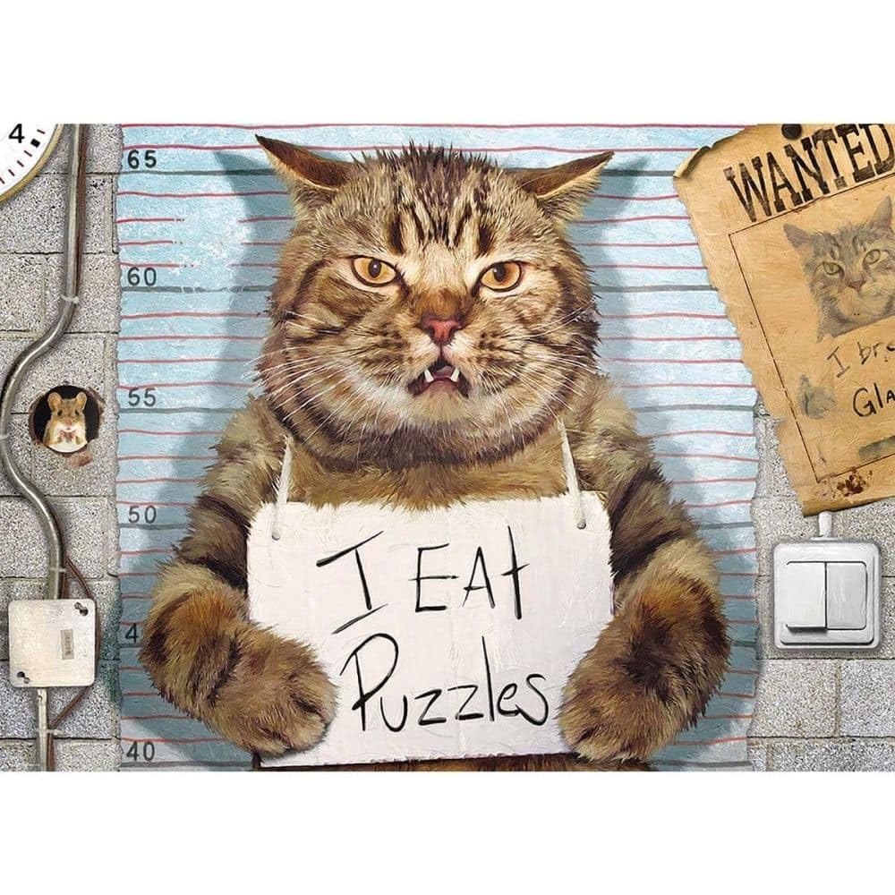 Feline Felon
