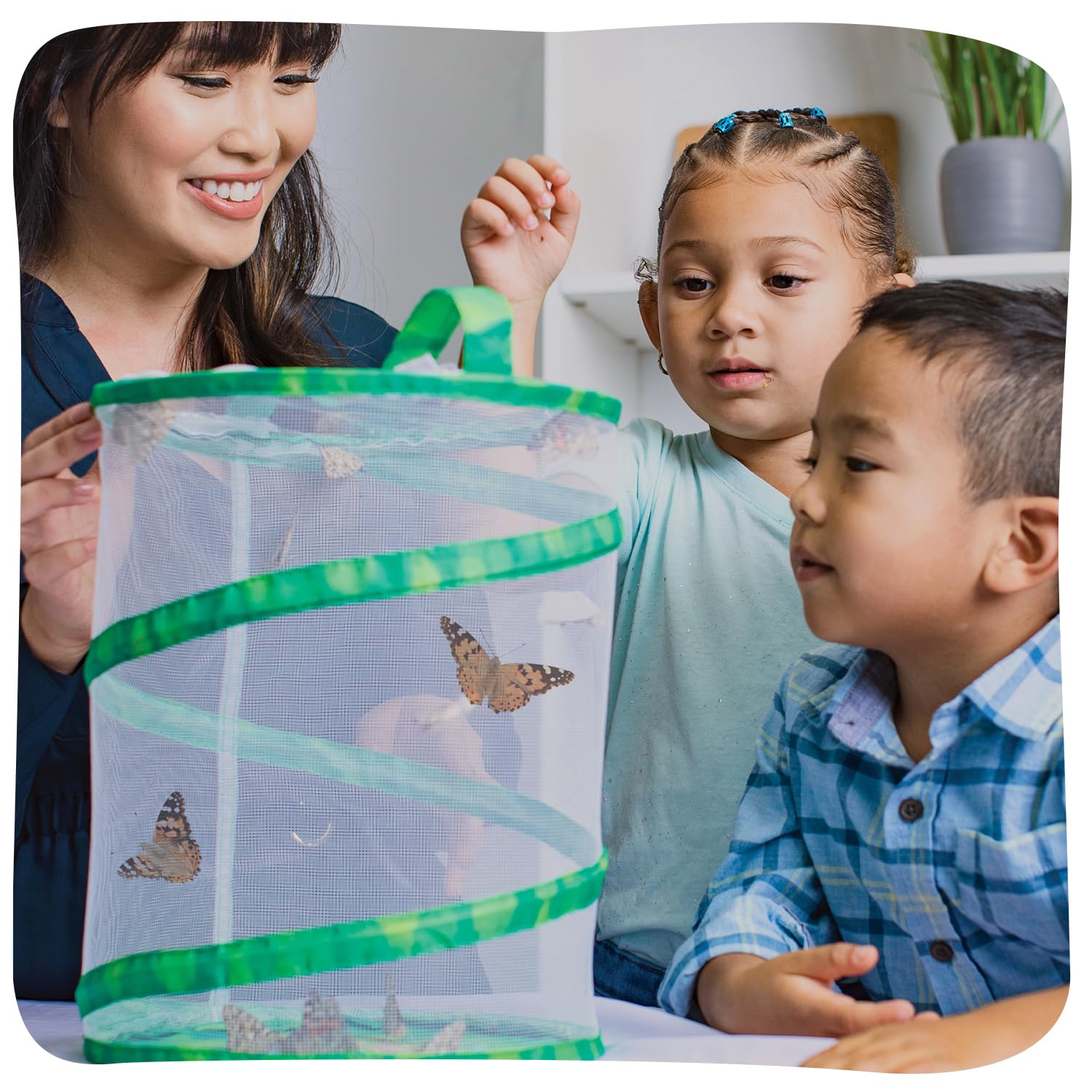 Insect Lore Butterfly Garden with 5 Live Baby Caterpillars - STEM Activity Journal, Habitat, Chrys-A-Lid Holder and Feeder Included | Raise
