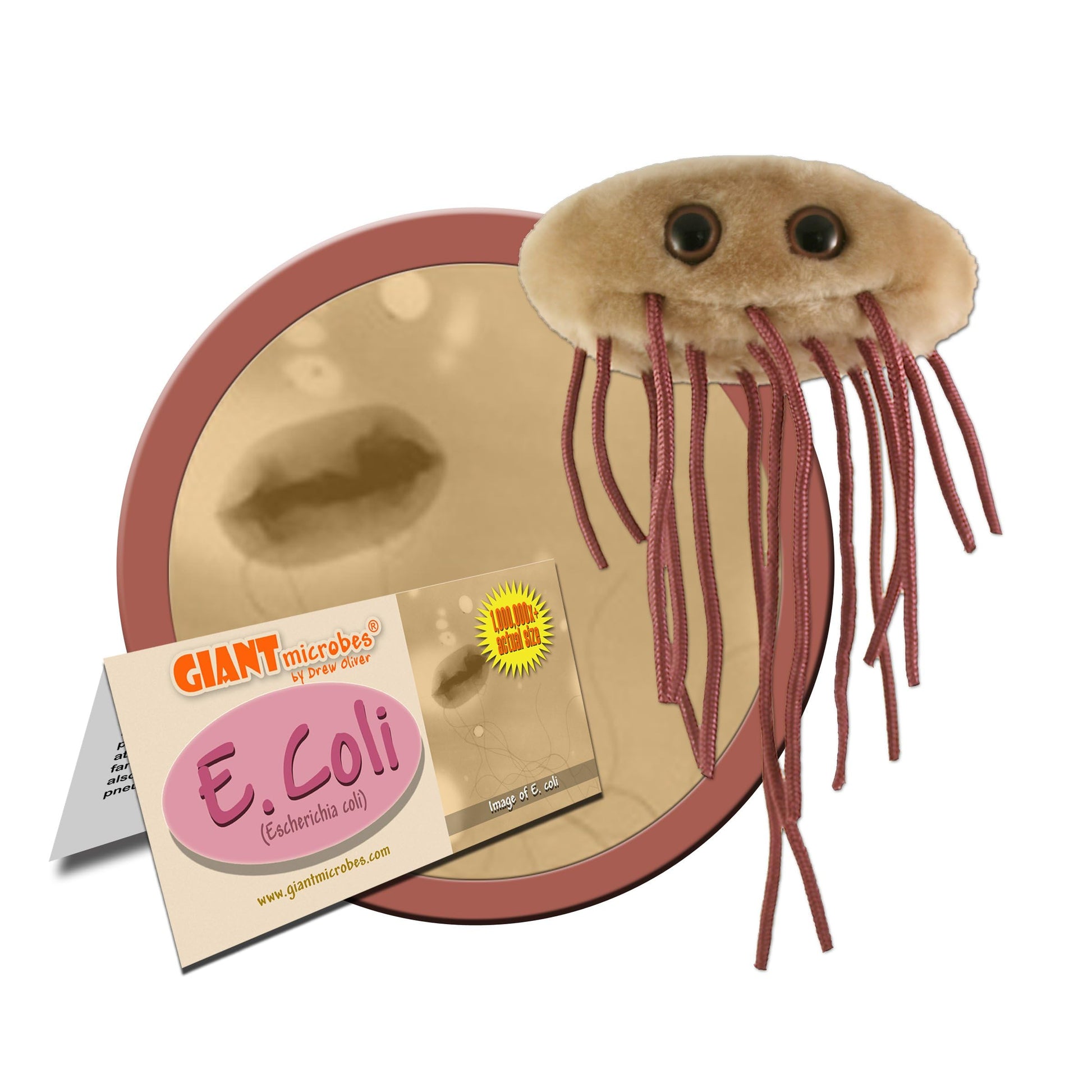 GIANTmicrobes E. Coli Plush, Microbiology Gifts, Gastroenterologist Gift, Gastroenterology Gifts, Gut Microbiome, Medical Laboratory Scientists, Petri