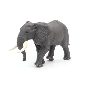 Papo - Realistic African Elephant Figure Toy for Kids - Ages 3+ - Wild Life Collection - Educational Play Wildlife Discovery - Gift Idea Toy for Girls