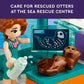LEGO Friends Sea Rescue Center 41736 Building Toy for Ages 7+, with 3 Mini-Dolls, 2 Otters, a Seahorse, Turtle and Water Scooter, a Great Birthday