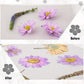 v2croft Flower Press Kit, Even Pressure 10" x 6" Wooden Flower Pressing Kit with 8 Layers for Dried Plant Preservation, DIY Arts, Gift for Craft