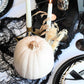 Fun Express White Craft Pumpkin - 5 inch - DIY Halloween and Fall Home Decor