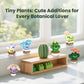 HIGH GODO Flowers & Cactus Party Favors Building Sets, 6 Pack Succulents Tiny Plants Bonsai Décor Model Kits, Goodie Bag Stuffers, Prize Box Toys