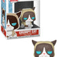 Funko Your Favorite Grumpy Cat, Stylized as a Pop! Vinyl from, Multicolor (34107)