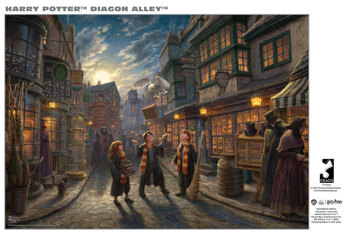 Buffalo Games - Silver Select - Harry Potter - Diagon Alley - 500 Piece Jigsaw Puzzle for Adults -Challenging Puzzle Perfect for Game Nights