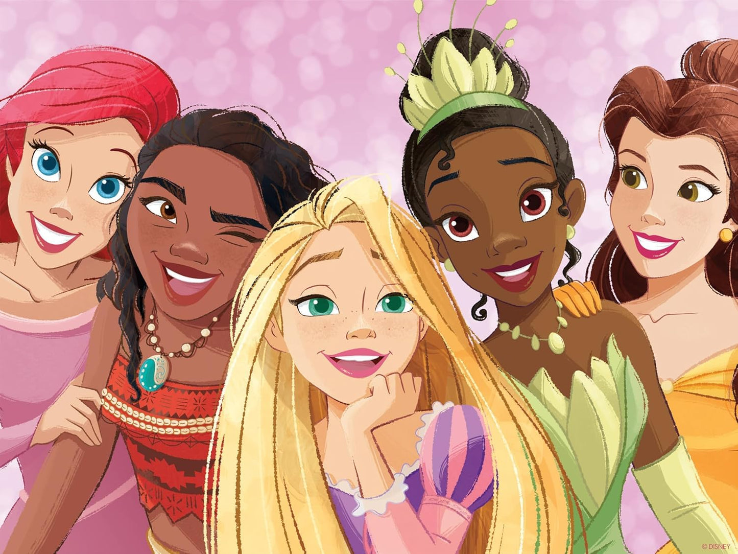 Ceaco - Disney Princess Collection - 5 Pack, 300-750 Piece Jigsaw Puzzles