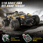 YESHIN 1:18 All Terrain RC Car for Adults, 36KM/H High Speed RC Monster Truck, 4X4 Waterproof Remote Control Car with Two 7.4V 1500mAh Rechargeable