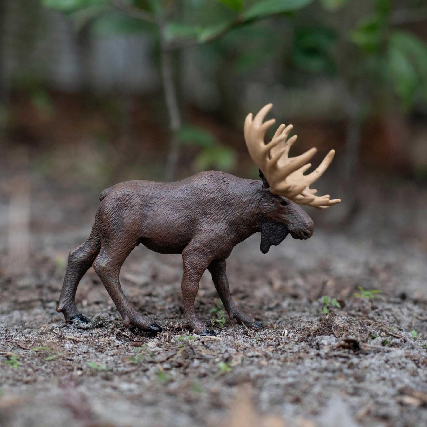 Safari Ltd. Moose Figurine - Realistic 5" Animal Figure - Educational Toy for Boys, Girls, and Kids Ages 1+