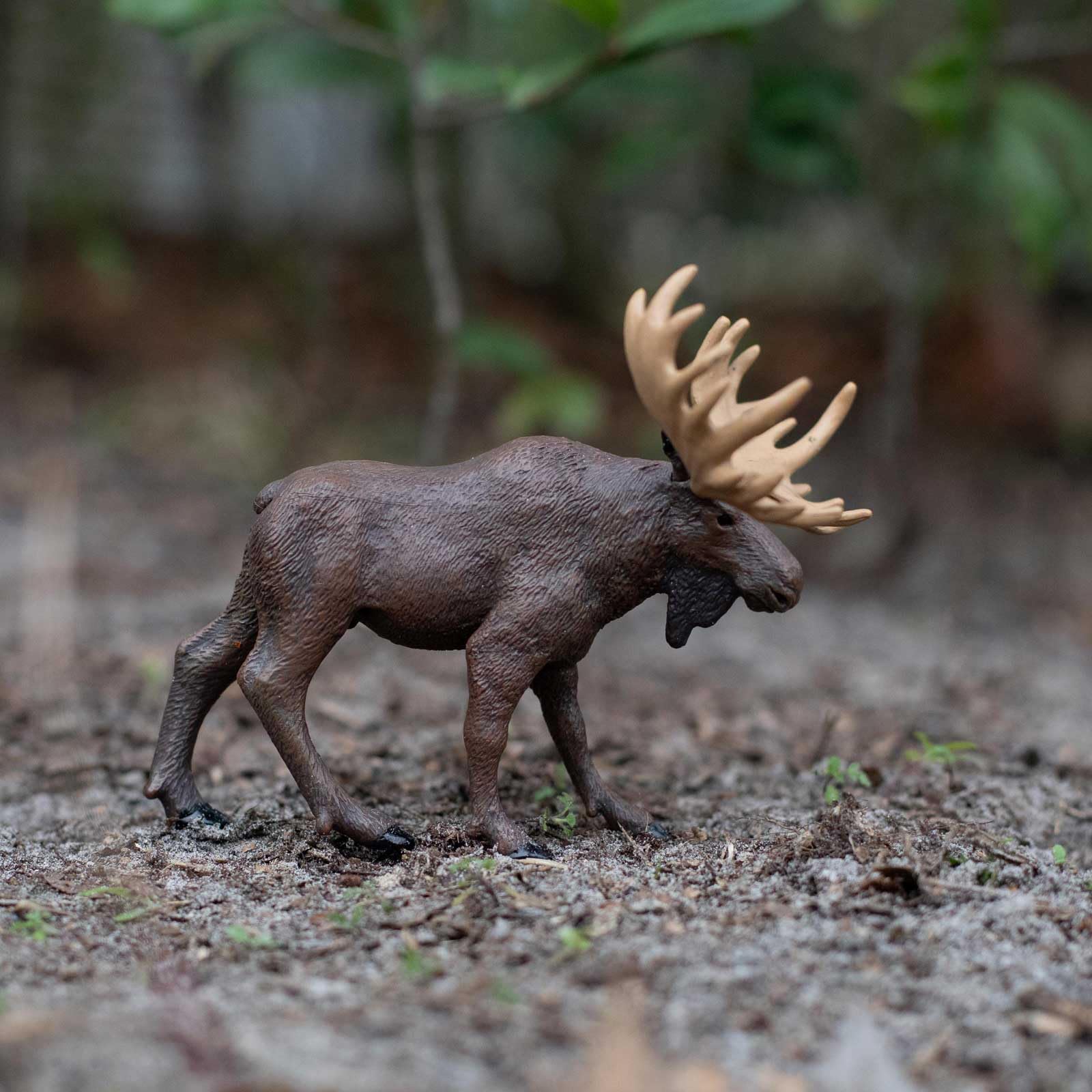 Safari Ltd. Moose Figurine - Realistic 5" Animal Figure - Educational Toy for Boys, Girls, and Kids Ages 1+