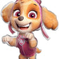 Skye Everest 3rd Birthday Party Supplies Girl Paw Pups on Patrol Balloons