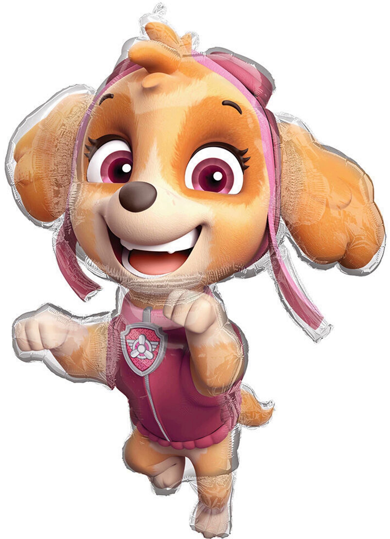 Skye Everest 3rd Birthday Party Supplies Girl Paw Pups on Patrol Balloons