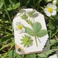 NIXNEHC Micro Mini Flower Press Kit, Miniature Flowers Pressing, Small Pocket Sized Metal Flower Press, DIY Pressed Plant Preservation Kit for Arts
