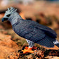 Safari Ltd. Harpy Eagle Figurine - Detailed 3" Plastic Model Figure - Fun Educational Play Toy for Boys, Girls & Kids Ages 3+