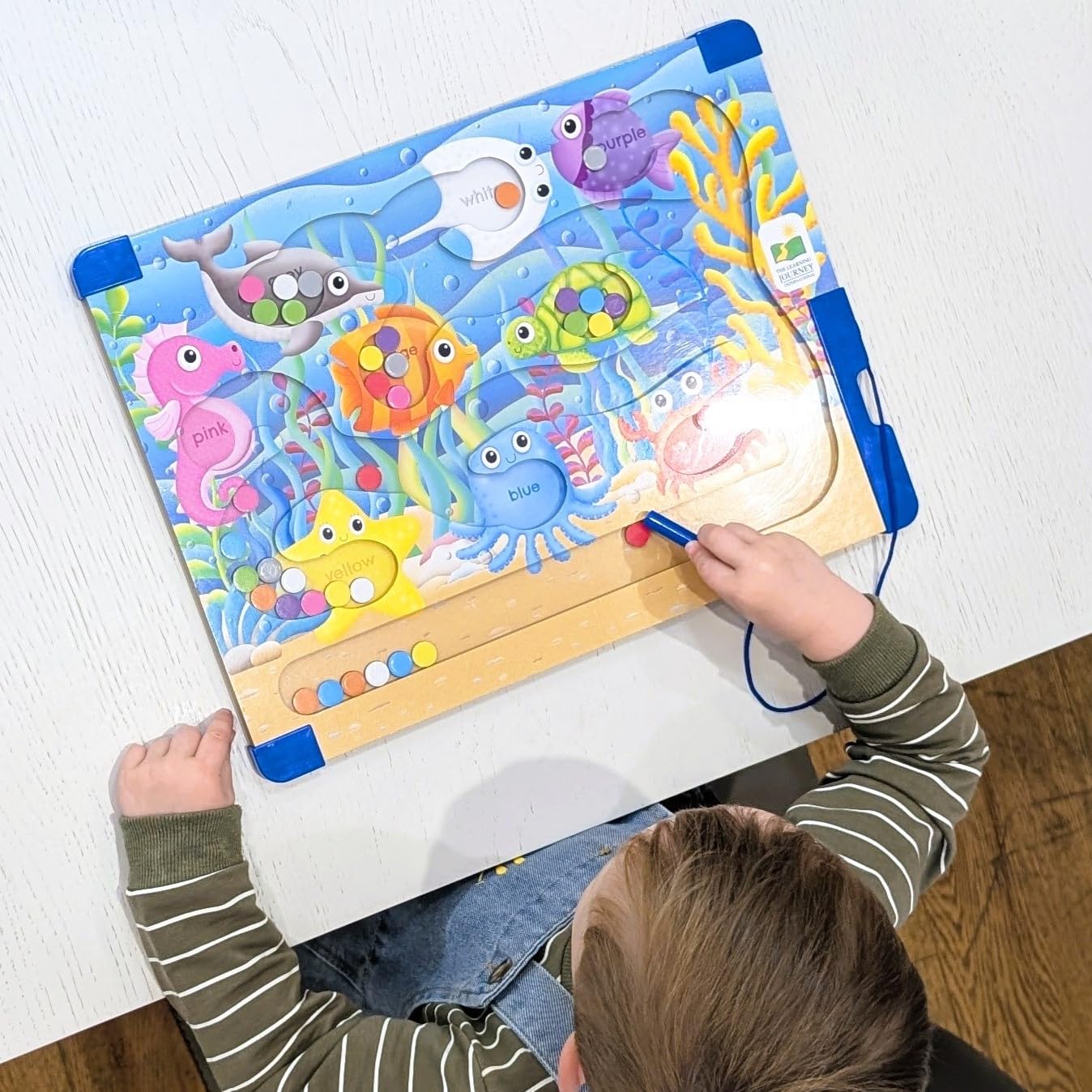 Sort & Learn Magnetic Puzzle - Colors (NEW)