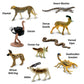 Safari Ltd. Sahara Desert Animals TOOB - 9 Mini Animal Figurines - Educational Toy Set for Boys, Girls and Kids Ages 3+