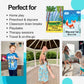 Creative Mango Animal Action Cards (Animal Action Cards 1)