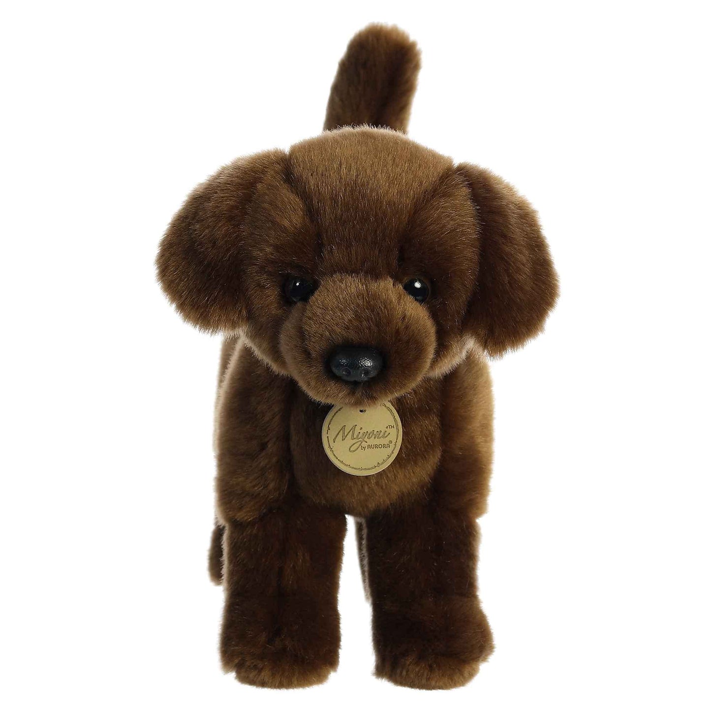Aurora - Miyoni - 10" Chocolate Labrador