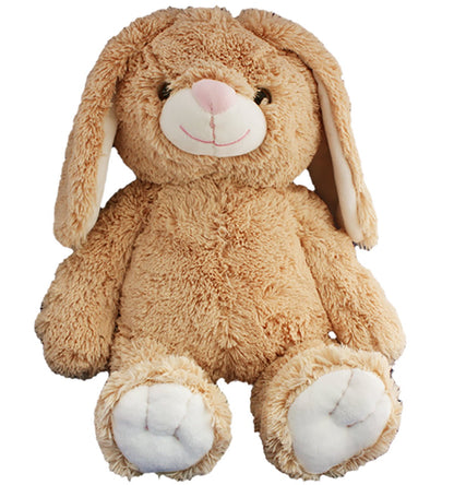 Beary Fun Friends Recordable 16" Plush Flopsy The Bunny w/20 Second Digital Recorder for Special Messages, Rymes or Songs